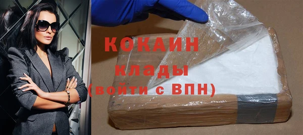 прущие грибы Зерноград