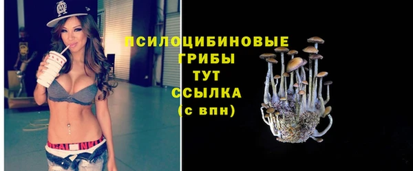 МДПВ Зеленокумск