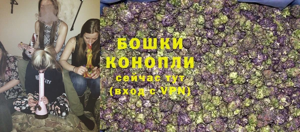 прущие грибы Зерноград