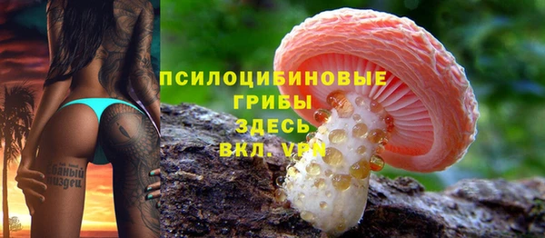 МДПВ Зеленокумск