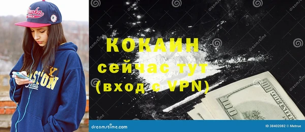 прущие грибы Зерноград