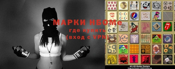 прущие грибы Зерноград