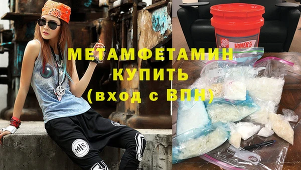 прущие грибы Зерноград