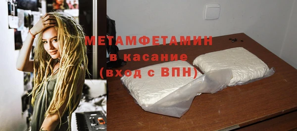 прущие грибы Зерноград